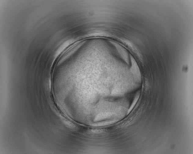 X0000090971274200708161828