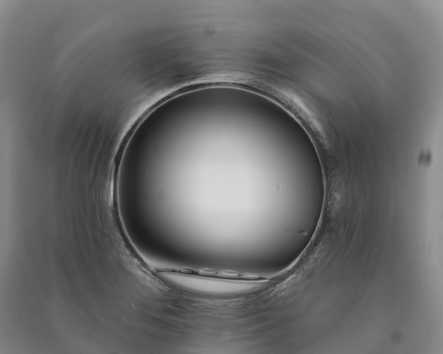 X0000090971276200708161828