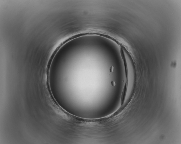 X0000090971280200708161828