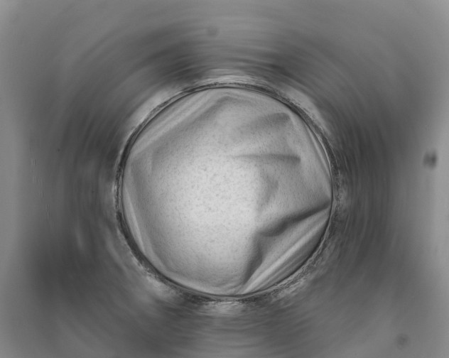 X0000090971282200708161828