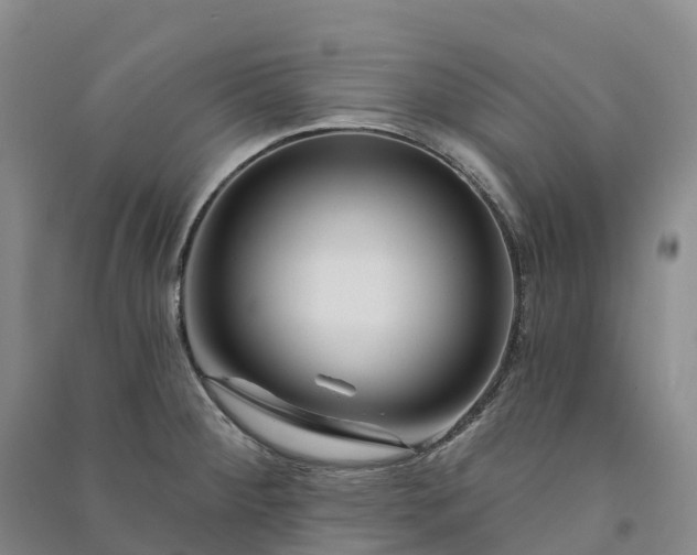 X0000090971284200708161828