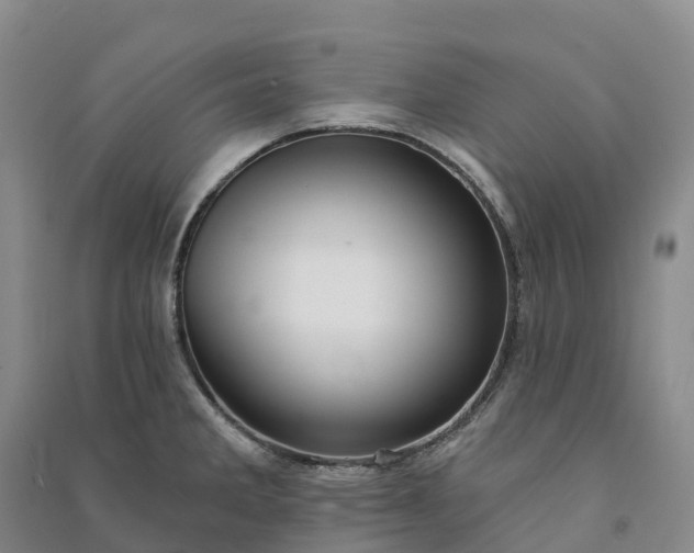 X0000090971285200708161828