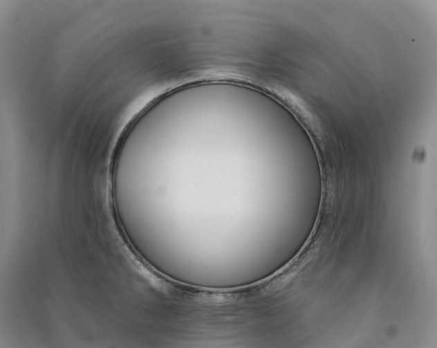 X0000090971286200708161828