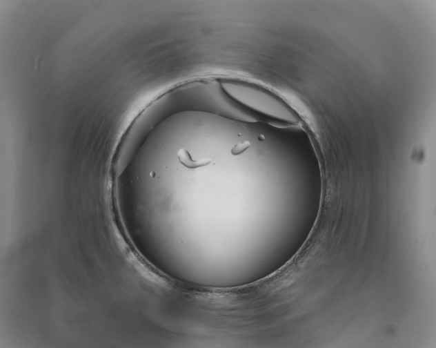 X0000090971287200708161828