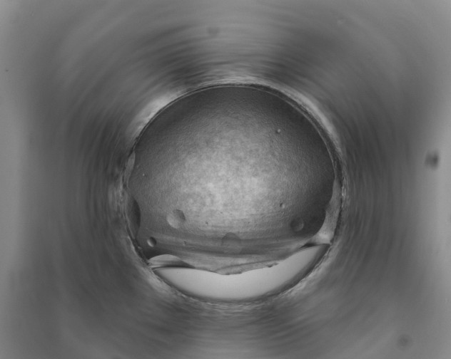 X0000090971289200708161828