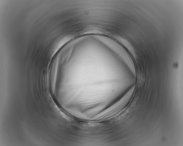 X0000090971290200708161828