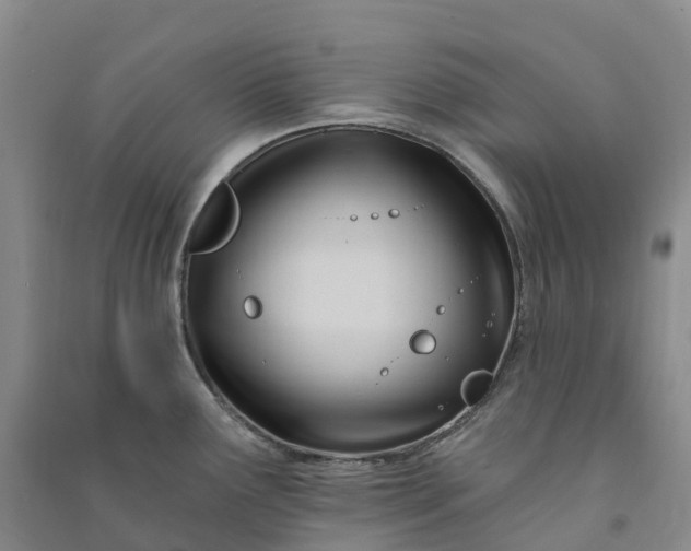 X0000090971291200708161828