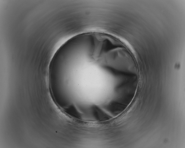 X0000090971295200708161828