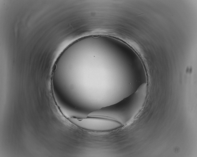 X0000090971296200708161828