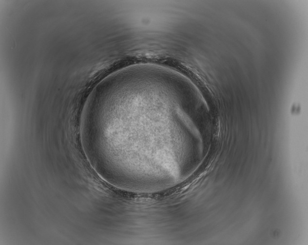 X0000090971297200708161827