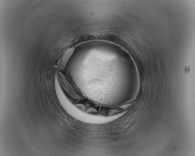 X0000090971298200708161827