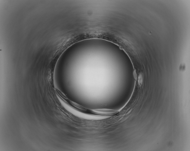 X0000090971299200708161827