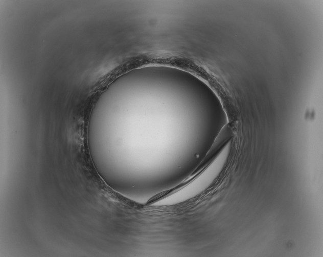 X0000090971301200708161827