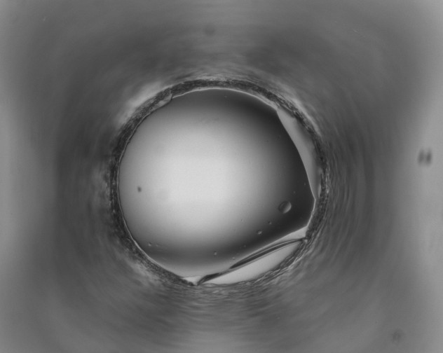 X0000090971304200708161827