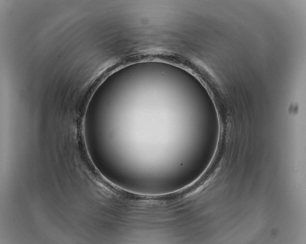 X0000090971305200708161827