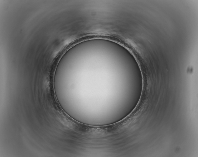 X0000090971307200708161827