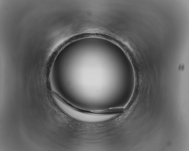 X0000090971311200708161827