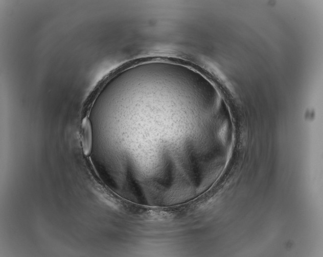 X0000090971312200708161827