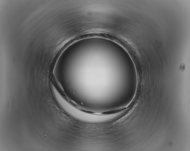 X0000090971313200708161827