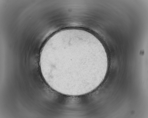 X0000090971314200708161827