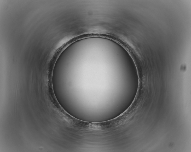 X0000090971315200708161827