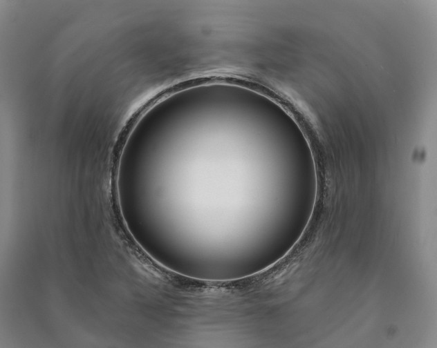 X0000090971316200708161827