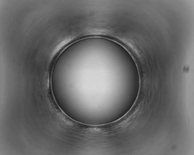 X0000090971317200708161827