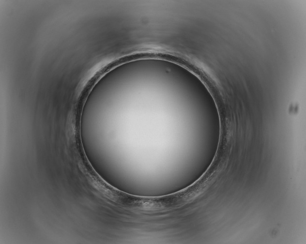 X0000090971318200708161827