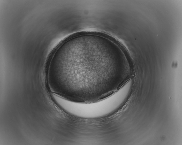X0000090971319200708161827