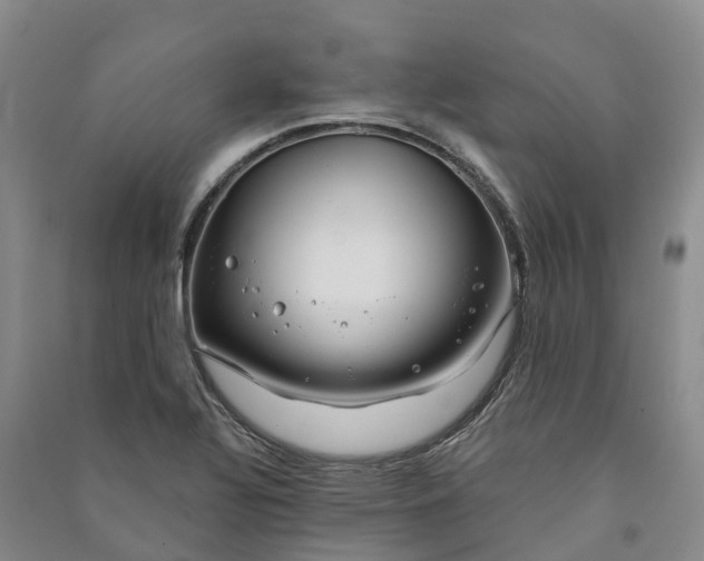 X0000090971320200708161827