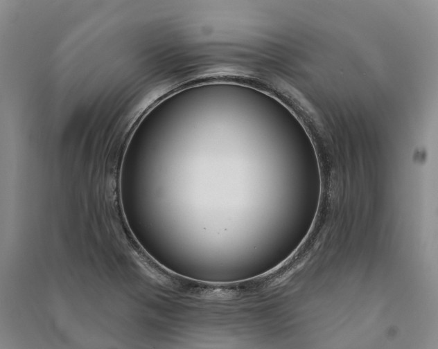 X0000090971321200708161827