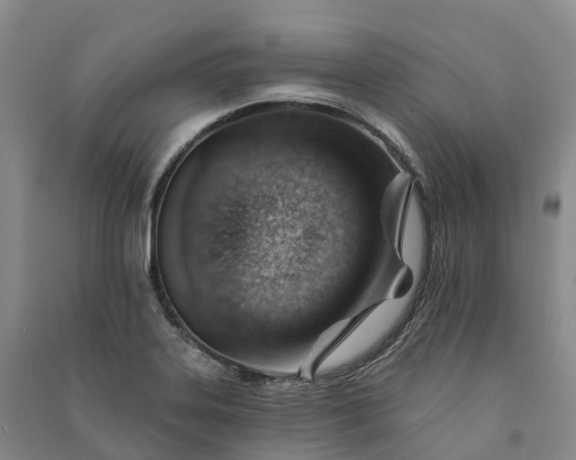 X0000090971323200708161827