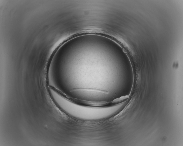 X0000090971325200708161827