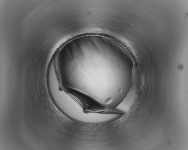 X0000090971326200708161827