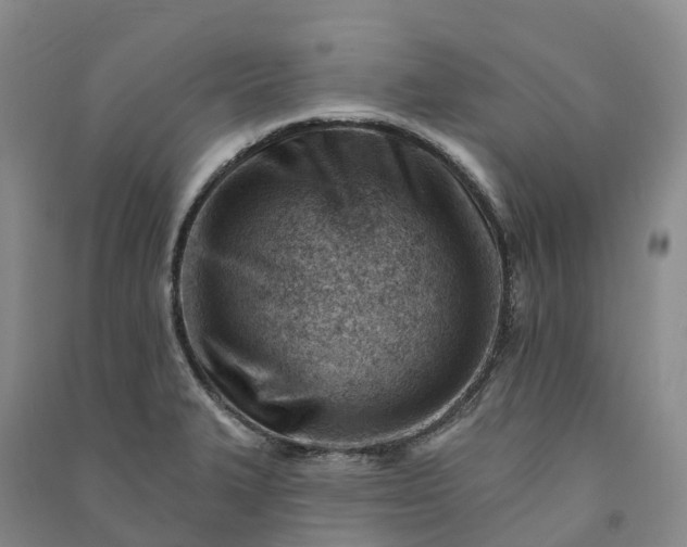 X0000090971327200708161827