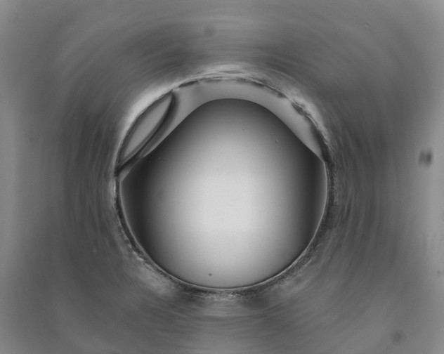 X0000090971328200708161827