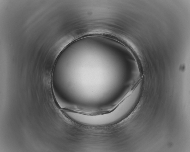 X0000090971329200708161827