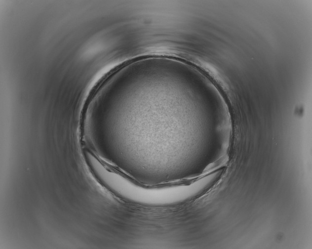 X0000090971331200708161827