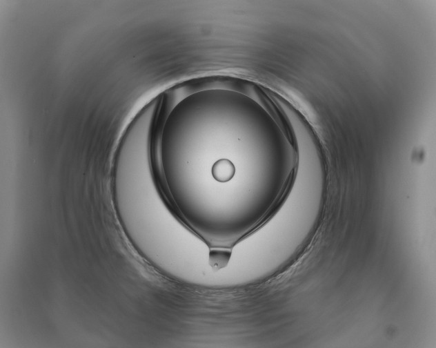 X0000090971332200708161827