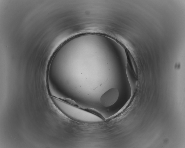 X0000090971334200708161827