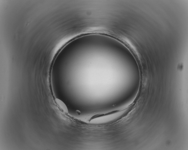 X0000090971336200708161828