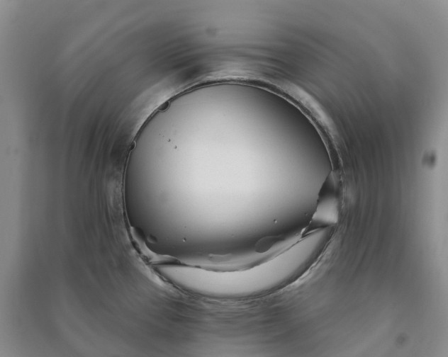 X0000090971337200708161828