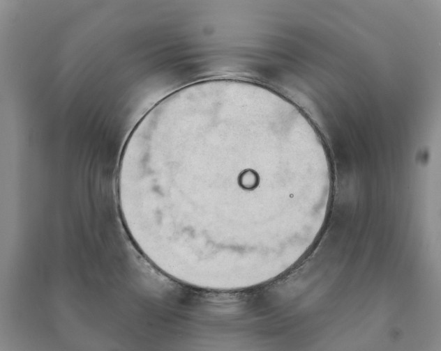 X0000090971338200708161828