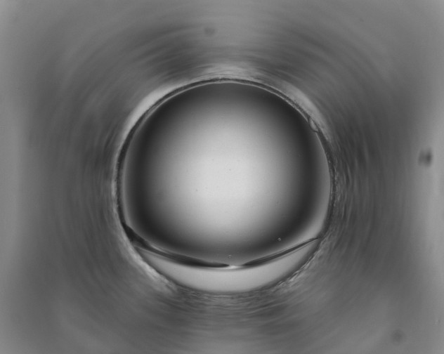 X0000090971339200708161828