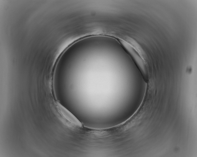 X0000090971340200708161828