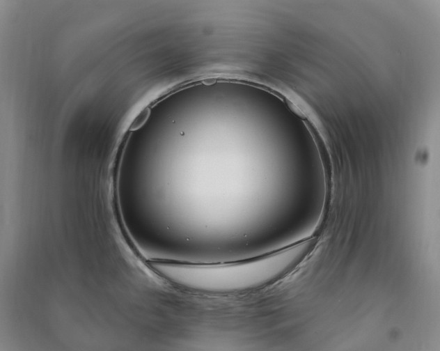 X0000090971341200708161828