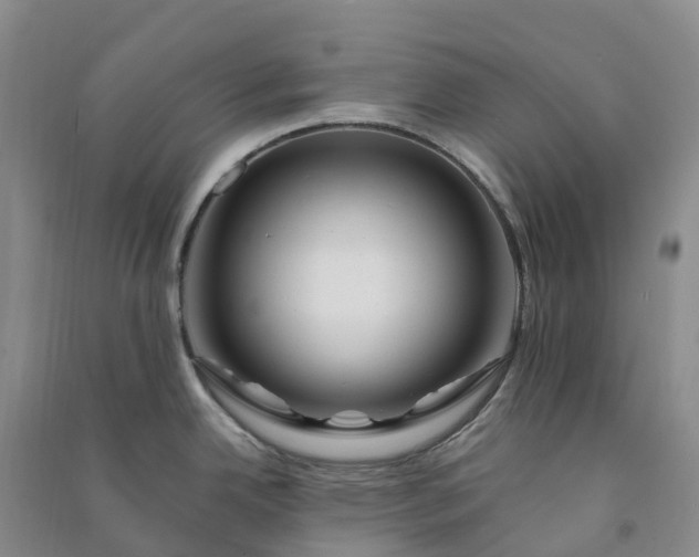 X0000090971342200708161828