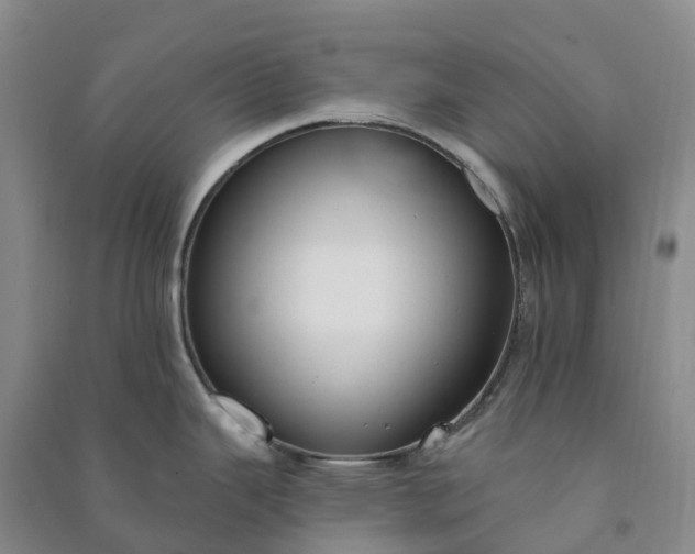 X0000090971343200708161828