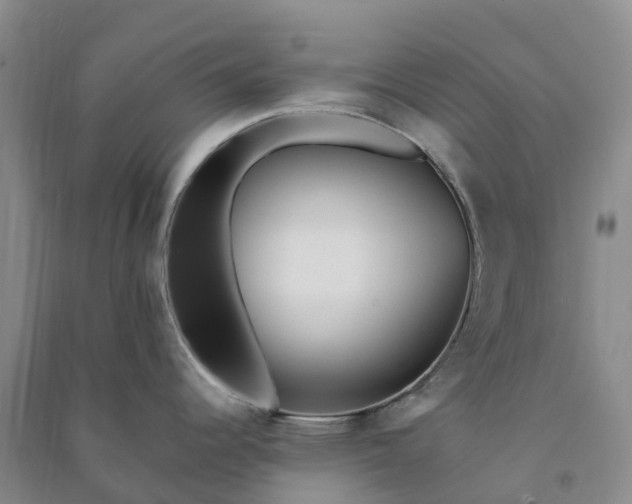 X0000090971344200708161828