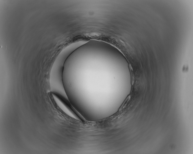 X0000090971345200708161827